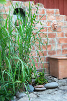 Recycled brick mock wall in front of lush elephant grass (Miscanthus giganteus) in the garden