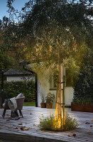Wooden terrace with illuminated, integrated tree