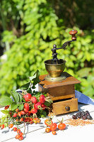 Rosehips and coffee grinder
