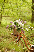 Bouquet of lilac flowers in a bicycle basket on an old bicycle