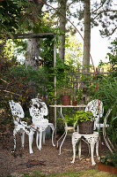 Seating area with white chairs under pine trees in the garden