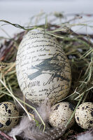 Easter nest with decorative eggs and quail eggs