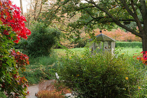 A gazebo in an autumnal garden with a lawn, trees and a juneberry bush