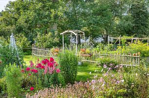 View of summer garden with flower beds