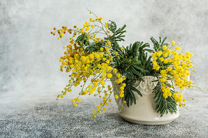 Bright yellow mimosa flowers in ceramic cup on concrete background