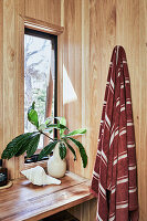 Vase mit Blätterzweig und Muschelschale auf Ablage vor dem Fenster, Badetuch an Holzwand