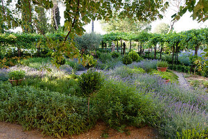 Mediterraner Garten mit Büschen und Lavendelbeet