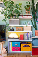 Retro shelf with books, boxes and houseplants