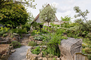 Terrace garden with dry stone walls and a variety of plants in front of the country house