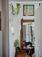 Hallway with large mirror, hanging green plants and black dog