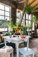 Country-style garden shed with plants and table setting