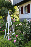Front garden with roses, box and climbing supports