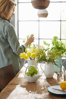 Teekanne mit Schneeball (Viburnum) und Frühlingssträußen  in Vasen auf Esstisch