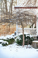 Verschneiter Wintergarten mit kahlem Baum und Heckengewächsen vor Veranda