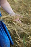 Woman holding ears of barley in the field