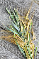 Bouquet of barley and wheat ears