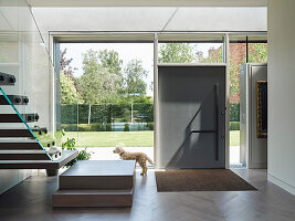 Dog stands in the entrance area of a modern house with glass frontage