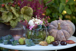 Herbstliches Arrangement mit Mini-Kürbis, Erika (Calluna) und  Schneebeeren (Symphoricarpos), Kastanien, Hortensienblüten  und Windlicht auf Gartentisch