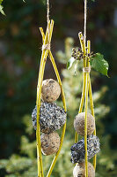 Self-made bird food sticks made of branches with titmouse dumplings in the garden