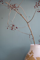 Branch with red berries in a vase in front of a blue wall