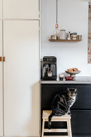 Küche mit Espressoautomat, Regal und Katze auf Hocker