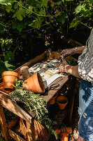 Plant table in the garden with terracotta pots and scissors