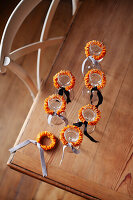 Champagne glasses on a wooden table with ribbons of dried oranges