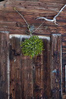 Mistelzweig an rustikaler Holztür