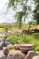Flowerbed in a rural setting with ceramic bird bath