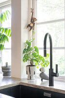 Black kitchen tap and monstera plant on marble worktop