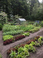 Diverse vegetable garden with salad beds and greenhouse in summer