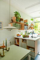 Bright kitchen with open shelving and various indoor plants