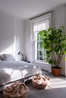 Helles Schlafzimmer mit Bett, großer Zimmerpflanze im Topf und Sitzkissen