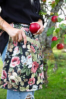 Frau mit blumiger Schürze pflückt rote Äpfel im Garten