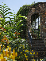 Staircase, stone arch with door and lushly planted garden