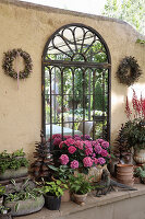 Decorated wall with mirror, hydrangeas and clay pots in the garden