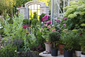 Lushly planted garden with hydrangeas and potted plants in front of a stone wall with mirror