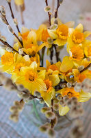Willow catkins and daffodils