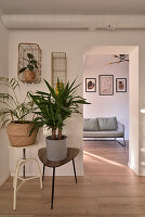 Plants on wooden tables and wall shelves in corner of room, view of hallway with pictures
