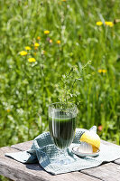 Klette-Labkraut-Drink aktiviert das Lymphsystem und wirkt reinigend