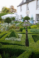 Victorian-style cottage garden with manicured boxwood hedges and perennials