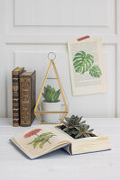 DIY mit Sukkulenten bepflanztes Buch