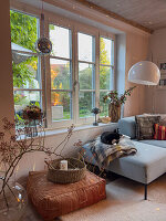 Cat sitting on a blue couch in front of a window