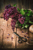 Bouquet of lilacs on a rustic wooden background