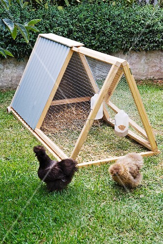 Diy Chicken Coop With Hanging Feed And Buy Image 11121470