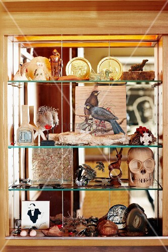 Nick Nacks On Gl Shelves Built Into Niche Bild Kaufen Nick Nacks On Gl Shelves Built Into Niche