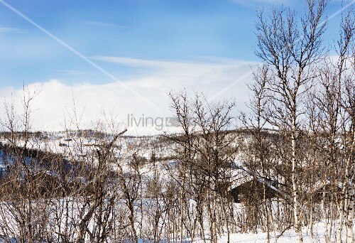 Winter Landscape Small Cluster Of Log Buy Image 11154120