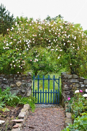 Romantic Cottage Garden With Rose Arch Buy Image 11172056