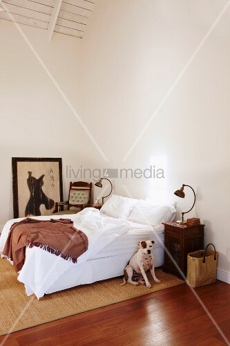 Corner Of Minimalist Bedroom Dog Buy Image 11227726