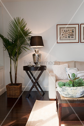 Potted Palm Tree Next To Table Lamp On Bild Kaufen 11018632 Potted Palm Tree Next To Table Lamp On Side In Corner Of Modern Living Room